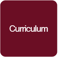 Curriculum